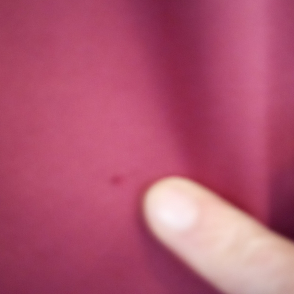 Seminole garnet basketball style shorts - Picture 4 of 9